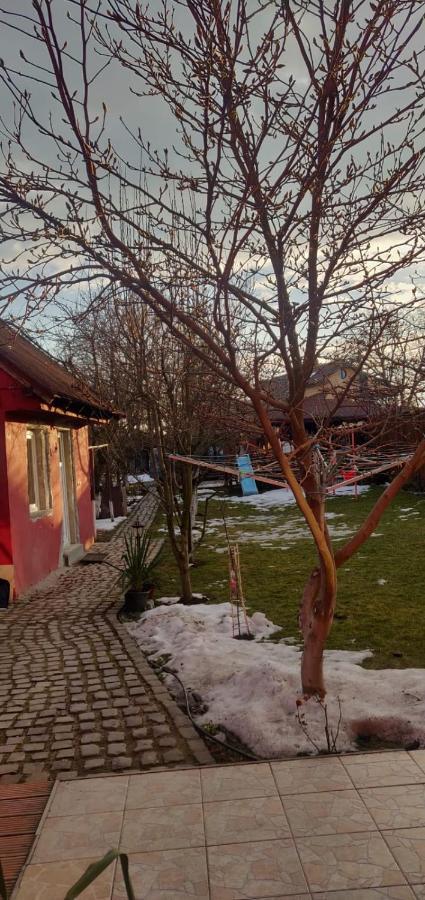 Hotel Casa Terzea à Rîşnov Extérieur photo